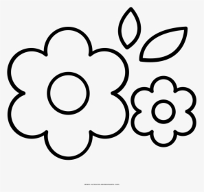 Flores Página Para Colorear - Flores Para Dibujar Png, Transparent Png -  kindpng