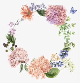 Flower Illustration The - Hydrangea Png, Transparent Png, Free Download