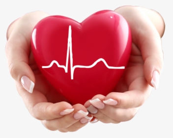 Cardiovascular Care - Medical Heart Images Hd, HD Png Download, Free Download