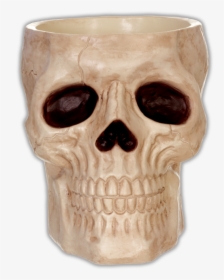 Skull 3d Candy Bowl Plastic Holder Skeleton Head Dish, HD Png Download, Free Download