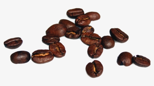 Caffeine,bean,jamaican Blue Mountain Coffee,java Coffee,food,cocoa - Coffee Bean High Resolution, HD Png Download, Free Download