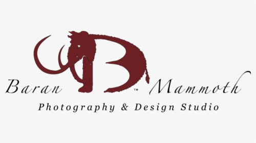 Mammoth Png, Transparent Png, Free Download