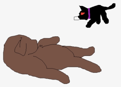 Cat, HD Png Download, Free Download