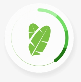 Banana Leaves Png, Transparent Png, Free Download