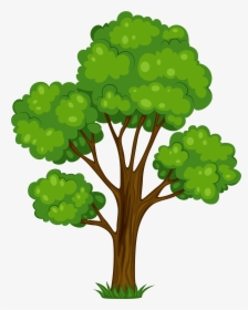 Transparent Plant Grow Clipart - Masha And The Bear Tree, HD Png Download, Free Download