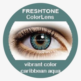 Korean Cosmetic Colored Lenses For The Eyes Freshtone - Freshtone Vibrant, HD Png Download, Free Download