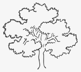 Tree Black And White, HD Png Download, Free Download