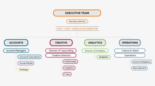 Org Chart - Creative Team Organizational Chart, HD Png Download, Free Download