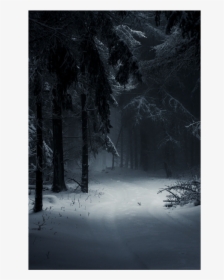 #bosque #nieve #noche #oscuridad  #forest #snow #nigth - Dark Snowy Forest Drawing, HD Png Download, Free Download