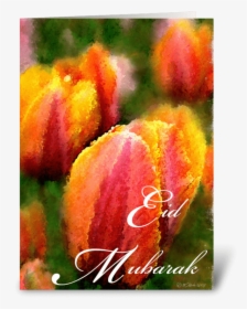 Tulip Flower Eid Mubarak Greeting Card Greeting Card - Eid Mubarak Flowers, HD Png Download, Free Download