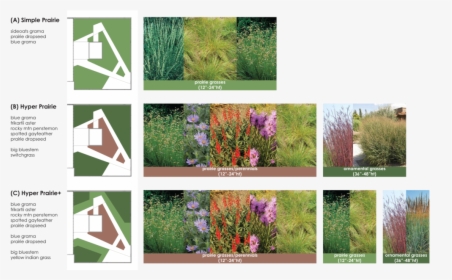 Roofdeckplanting, HD Png Download, Free Download