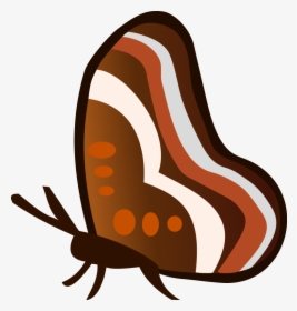 Free Vector Butterfly, HD Png Download, Free Download