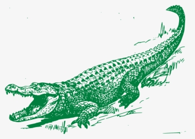 Crocodile White And Black, HD Png Download, Free Download