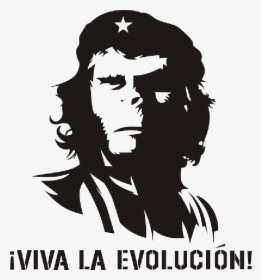 Monkey Evolution Che Guevara Humor Revolution Domain - Che Guevara Planet Of The Apes, HD Png Download, Free Download