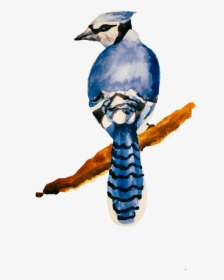 Blue Jay Bird On transparent background. ai generated 27145943 PNG