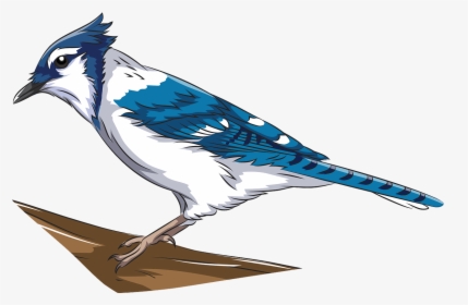 Blue Jay Bird On transparent background. ai generated 27145941 PNG