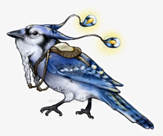 Transparent Blue Jay Clipart - Drawing, HD Png Download, Free Download