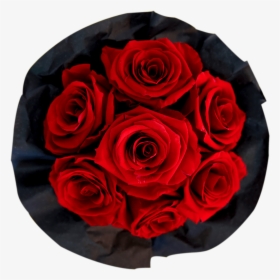 Red Bouquet - Floribunda, HD Png Download, Free Download