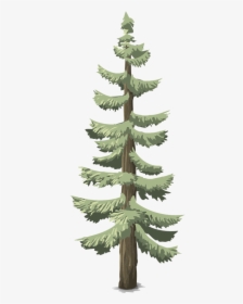 Pines Conifer Trees - Arboles Pinos, HD Png Download, Free Download