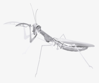 Metal Erath Bugs - 3d Metal Model Mantis, HD Png Download, Free Download