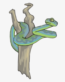 Snake In The Tree Clipart, HD Png Download, Free Download