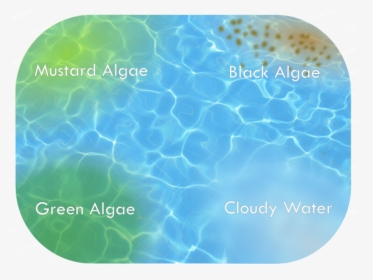 Cloudywatergraphic02 - Mustard Algae, HD Png Download, Free Download