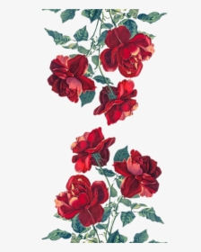 #stickers #rosas #rojas - Red Roses Artwork, HD Png Download, Free Download