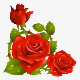#rosas #rojas #freetoedit - Clip Art Borders Flowers Rose, HD Png Download, Free Download