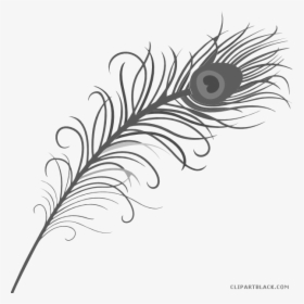 Feather Clipart Black And White - Png Format Peacock Feather Png, Transparent Png, Free Download