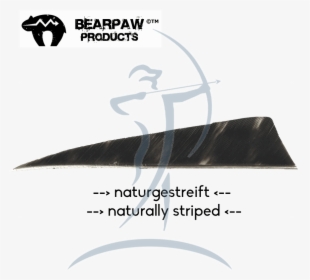 Bearpaw Feathers, HD Png Download, Free Download