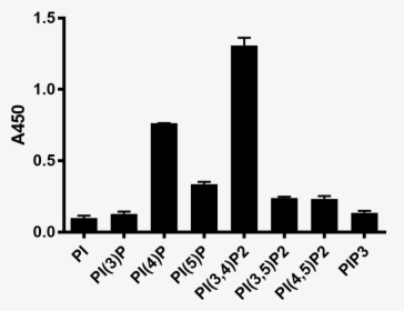 Z-p034, Pip2 Antibody - Autoantibody, HD Png Download, Free Download