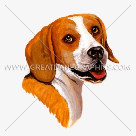 Beagle Vector Illustrator - Beagle, HD Png Download, Free Download