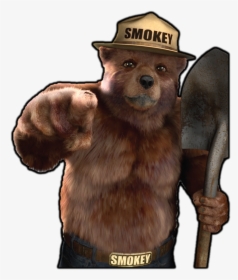 Smokey The Bear Png - Smokey The Bear Realistic, Transparent Png, Free Download