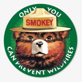 Smokey The Bear Think Poster, HD Png Download, Free Download