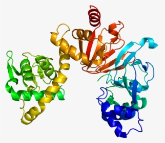 Protein Rapgef4 Pdb 1o7f - Illustration, HD Png Download, Free Download