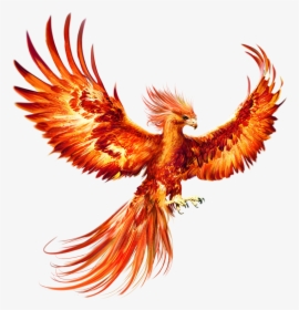 Phoenix Bird, HD Png Download, Free Download