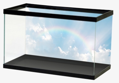 Specialty Rainbowsky - Underwater Cave Aquarium Background Hd, HD Png Download, Free Download