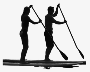 Standup Paddleboarding Surfing Manatee Paddle Sales - Paddle Boarding Sup Silhouette, HD Png Download, Free Download