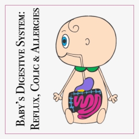 Baby"s Digestive System & Reflux - Cartoon Digestive System Word, HD Png Download, Free Download