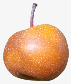 Asian Pear Png, Transparent Png, Free Download