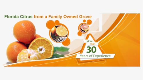 Naples Oranges, HD Png Download, Free Download