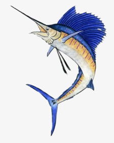 #pez Espada - Atlantic Diagram White Marlin Swordfish Blue Marlin, HD Png Download, Free Download