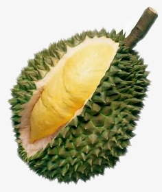 Fruit Banned In Thailand, HD Png Download, Free Download