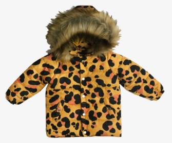 Lion, HD Png Download, Free Download