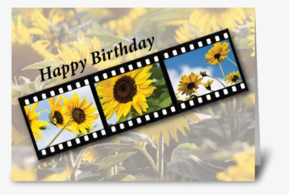 Birthday Sunflower Filmstrip Greeting Card - Happy Anniversary Mom And Dad Sunflower, HD Png Download, Free Download