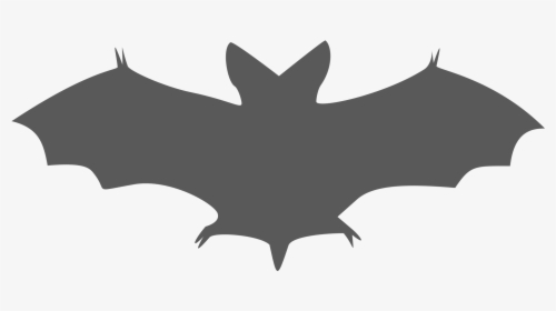 Halloween Bat Clipart - Shadow Of A Bat, HD Png Download, Free Download