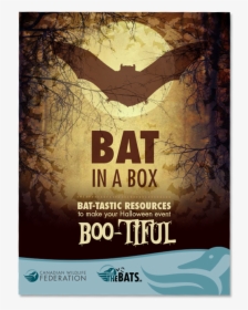 Bat In A Box Poster - Poster, HD Png Download, Free Download