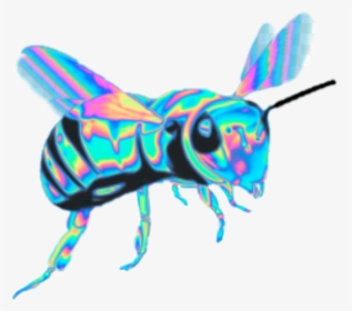 #sticker #colorful #aesthetic #cute #bee #bees #idk, HD Png Download, Free Download