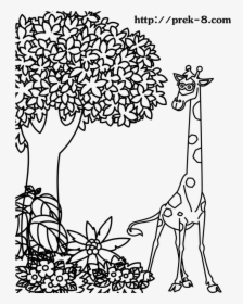 Transparent Jungle Gym Clipart - Tree Animal Coloring Pages, HD Png Download, Free Download