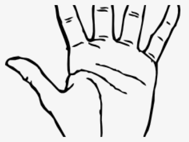 Fingers Clipart Back Hand - Hand Clip Art, HD Png Download, Free Download
